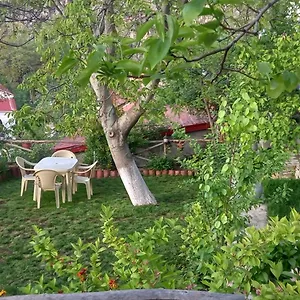  Casa vacanze Roleo